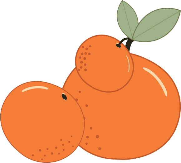 Illustrated cluster of tangerines with green leaves